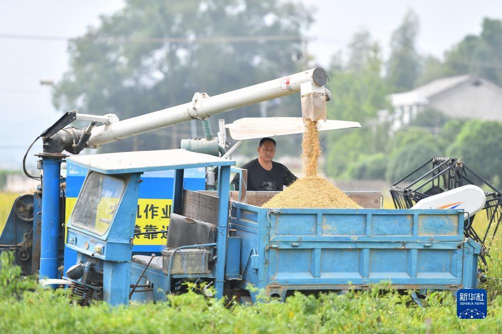百老汇登录